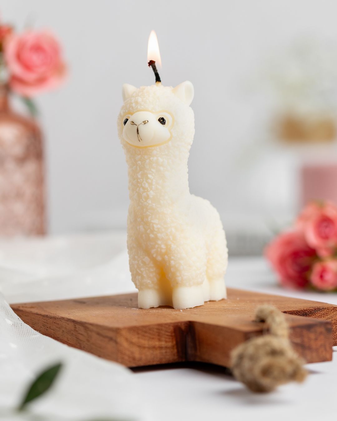 TVOJE SVÍČKA (Příspěvek na Instagramu (4  5)) (8)